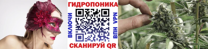 Канабис сатива  Менделеевск 